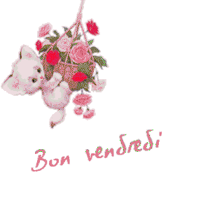 Gif animé Bon vendredi chat